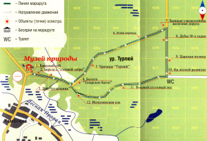 Беловежская пуща